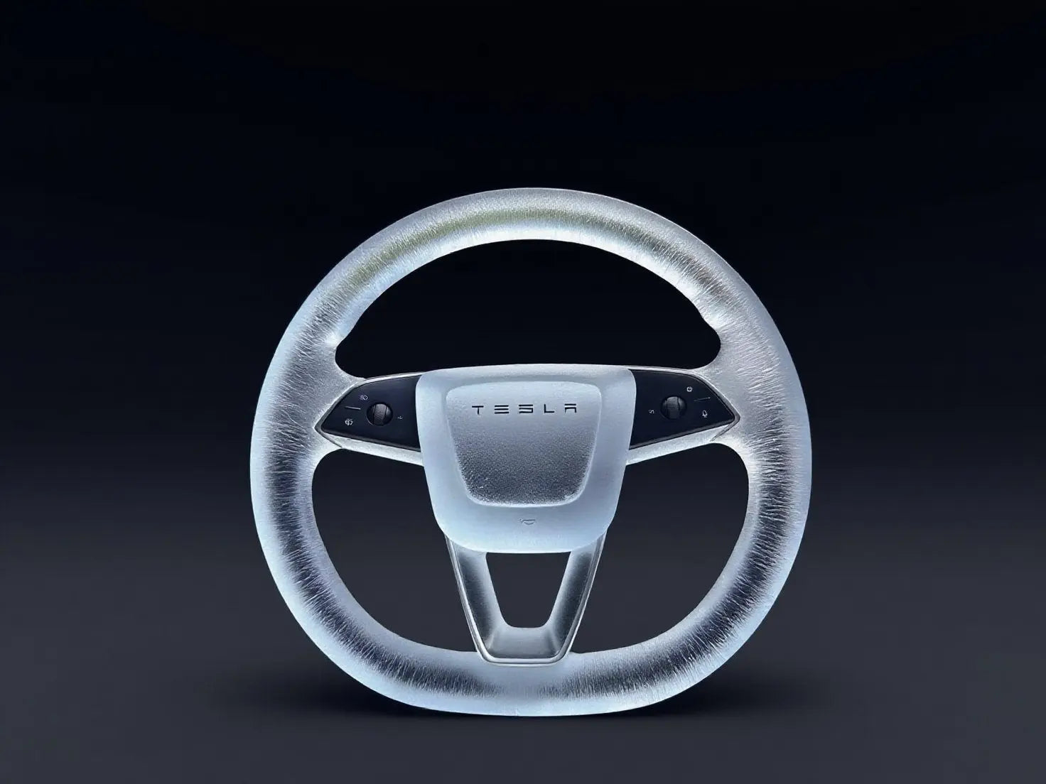Holding-the-Tesla-Steering-Wheel-Holding-the-Light-of-Life Axeco