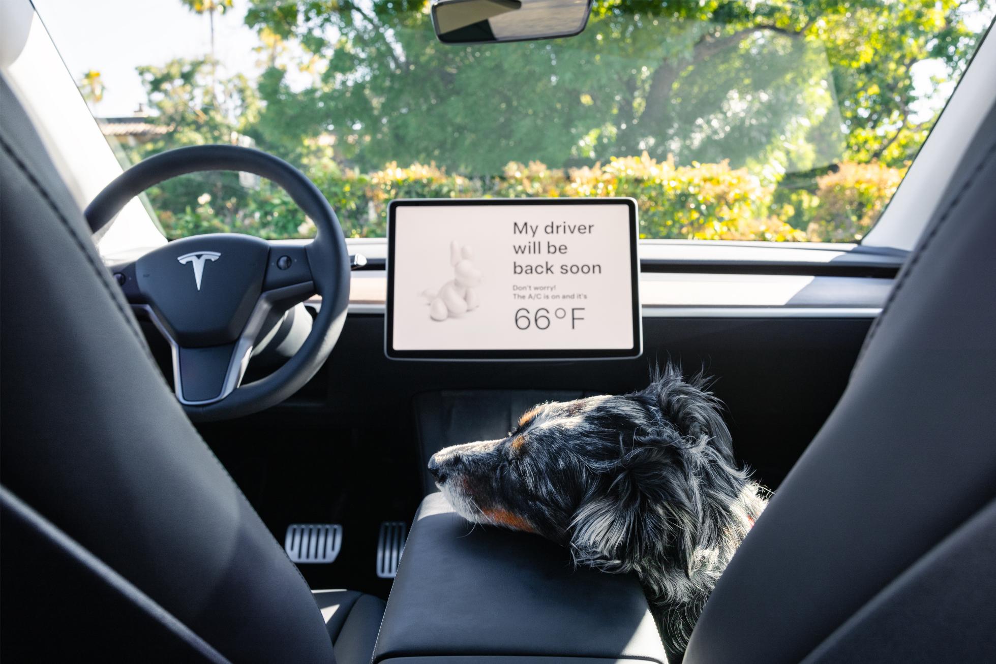 Why Tesla Model Y Sticks with a More Traditional Round Steering Wheel Design