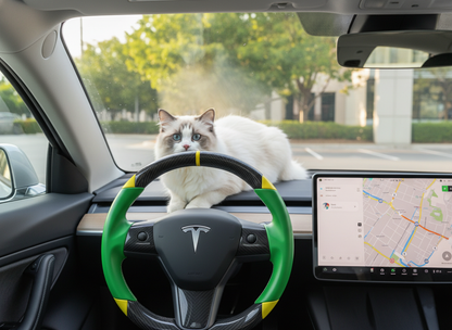 Green and yellow Carbon Fiber Tesla Model 3 Custom Steering Wheel -DYNA(2017-2023.9) Axeco