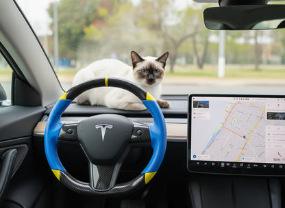 Blue and yellow Carbon Fiber Tesla Model 3 Custom Steering Wheel -DYNA(2017-2023.9) Axeco