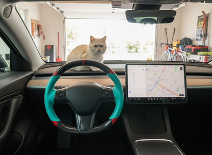 Mint green and red Carbon Fiber Tesla Model 3 Custom Steering Wheel -DYNA(2017-2023.9) Axeco