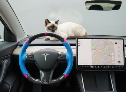 Blue and pink Carbon Fiber Tesla Model 3 Custom Steering Wheel -DYNA(2017-2023.9) Axeco