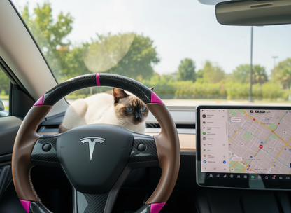 Brown and pink Carbon Fiber Tesla Model 3 Custom Steering Wheel -DYNA(2017-2023.9) Axeco