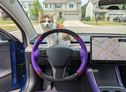 Purple and red Carbon Fiber Tesla Model 3 Custom Steering Wheel -DYNA(2017-2023.9) Axeco