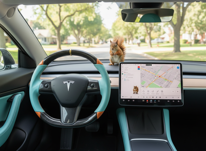 Light blue and orange Carbon Fiber Tesla Model 3 Steering Wheel -DYNA(2017-2023.9) Axeco