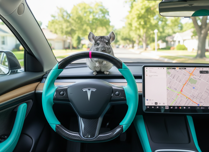 Mint Green Carbon Fiber Tesla Model 3 Steering Wheel-DYNA(2017.2023.8) Axeco