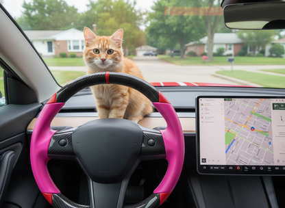 Pink and red Carbon Fiber Tesla Model 3 Custom Steering Wheel -DYNA(2017-2023.9) Axeco