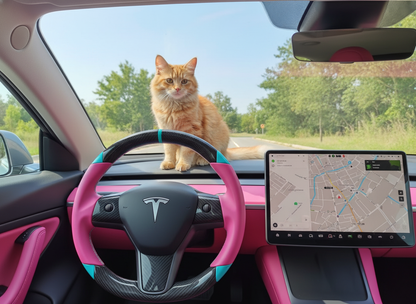 Pink and light blue leather black carbon fiber Tesla Model Y steering wheel - DYNA (2020-2024) Axeco