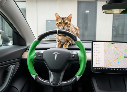 Green and white Carbon Fiber Tesla Model 3 Custom Steering Wheel -DYNA(2017-2023.9) Axeco