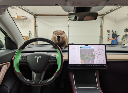 Brownish and emerald green Carbon Fiber Tesla Model Y Steering Wheel-Track Master(2020-2024) Axeco