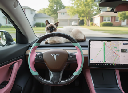 Pink-Light Green Carbon Fiber Tesla model 3 Steering Wheel -Track Master(2023.9+) Axeco