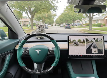 Greenish-black carbon fiber Tesla Model 3 steering wheel - Track Master (2017-2023.8) Axeco