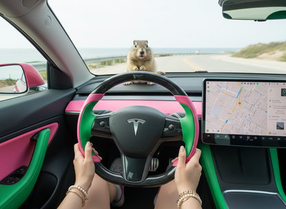 Soft pink and emerald green Carbon Fiber Tesla model 3 Steering Wheel -Track Master(2023.9+) Axeco