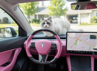 Light pink and black carbon fiber Tesla Model 3 steering wheel - Track Master (2017-2023.8) Axeco