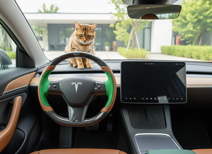 Dark brown and green Carbon Fiber Tesla model 3 Steering Wheel -Track Master(2023.9+) Axeco