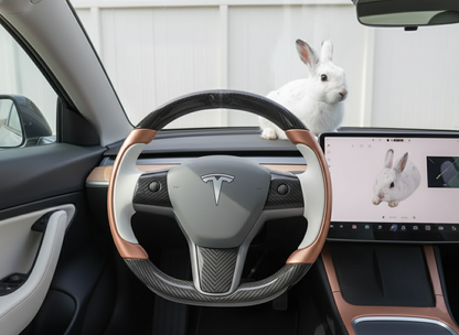 White-Golden Tesla Model 3 Carbon Fiber Steering Wheel-Track Master(2017-2023.8) Axeco