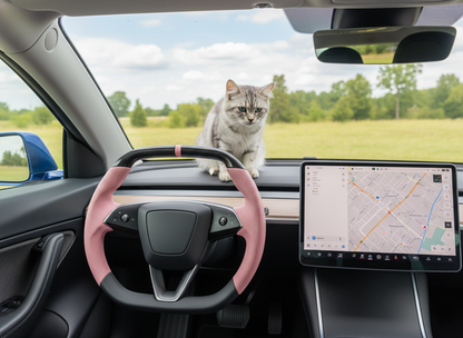 Pink Leather Carbon Fiber Customize Tesla Model Y Juniper Steering Wheel - Super Enhancer (2025+) Axeco